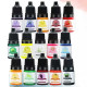 KIT-24X5ML COLORANT, PIGMENT  RASINI "CONCENTRAT"