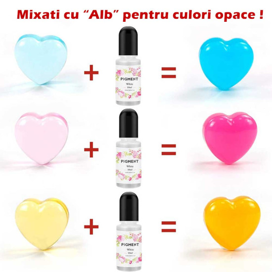 KIT-15x10ml Colorant, pigment "Rasini"